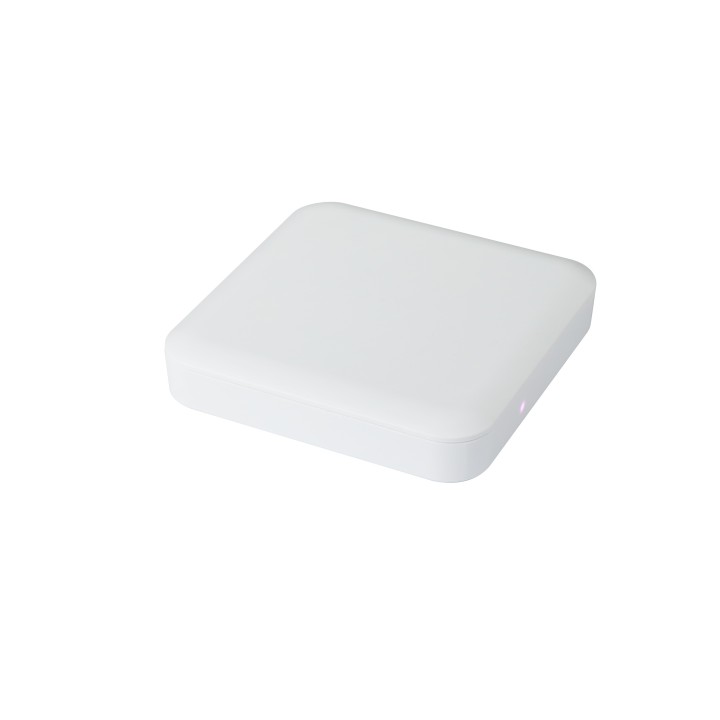 PA300 Access Point