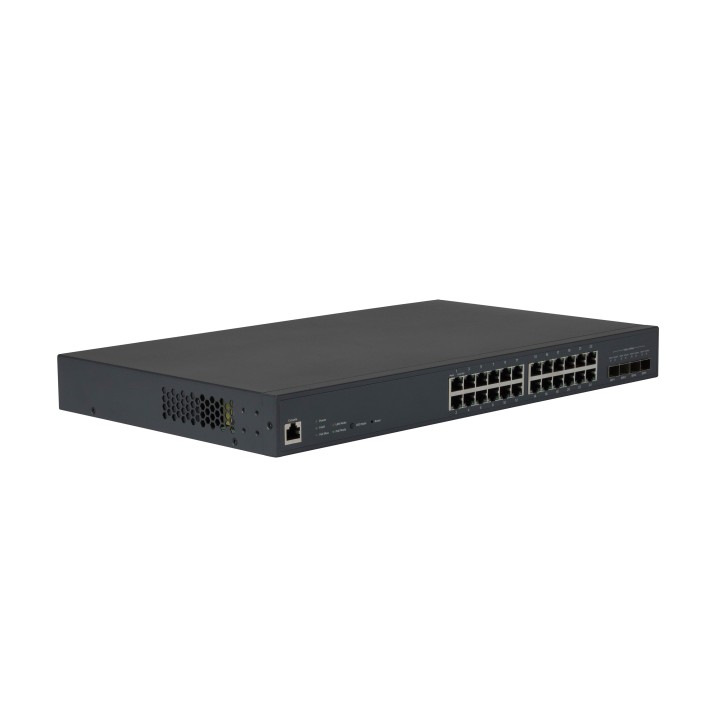 PS24 Switch